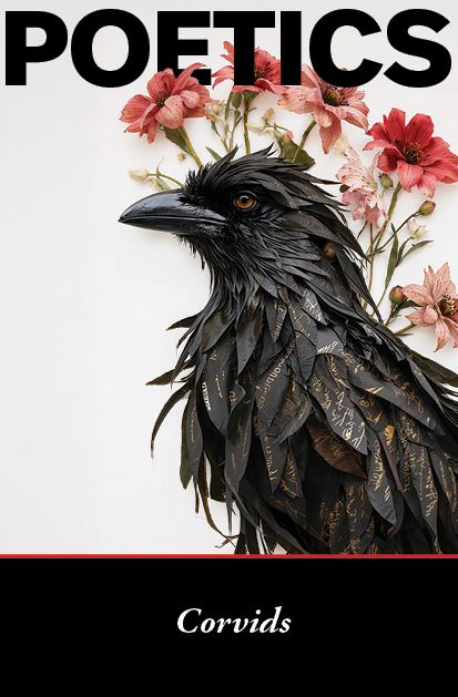 Poetics: Corvids