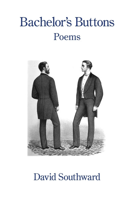 Bachelor's Buttons - Ingram